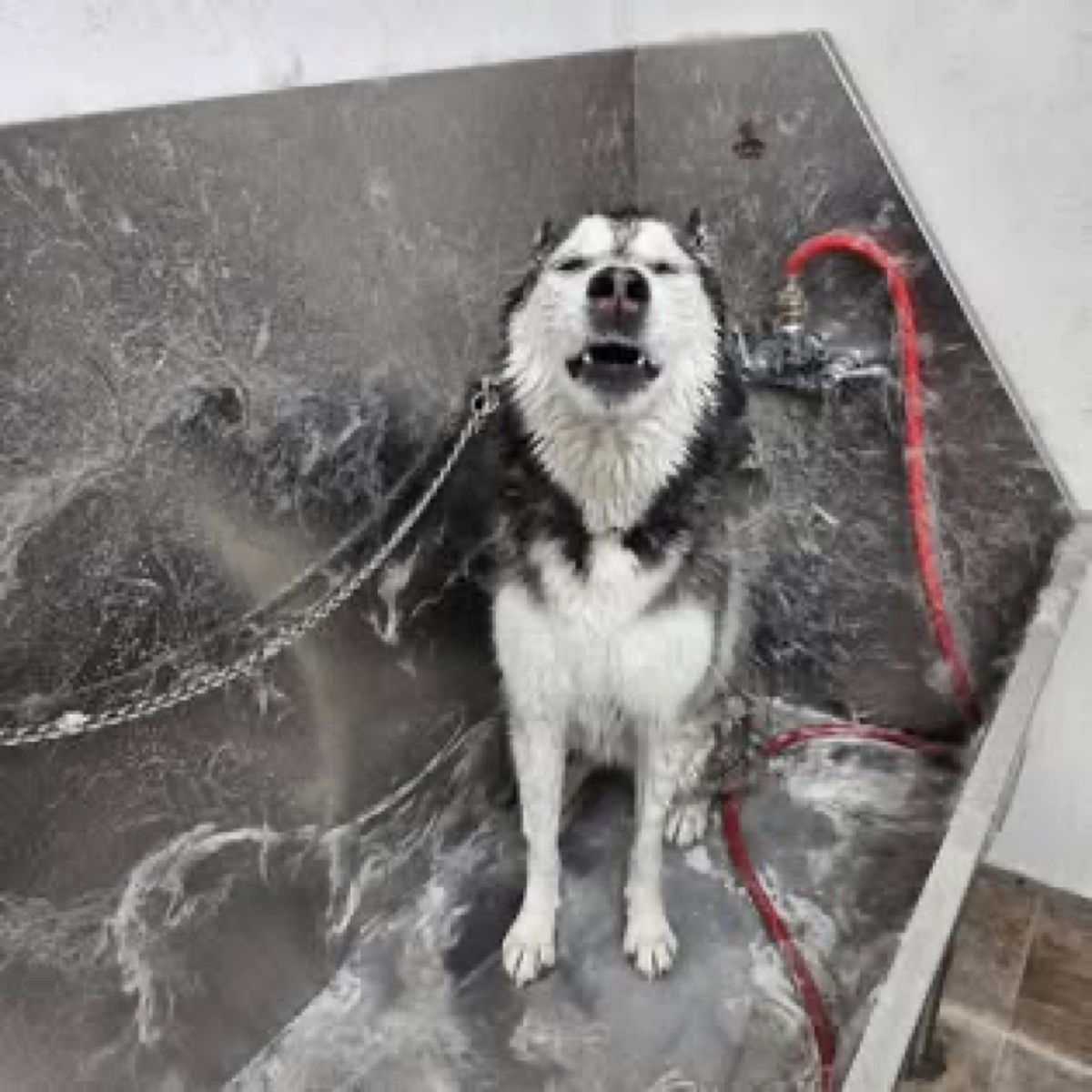 A little bath-time pampering.